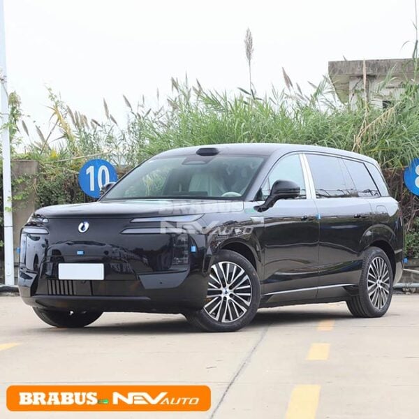 BYD DENZA N8L