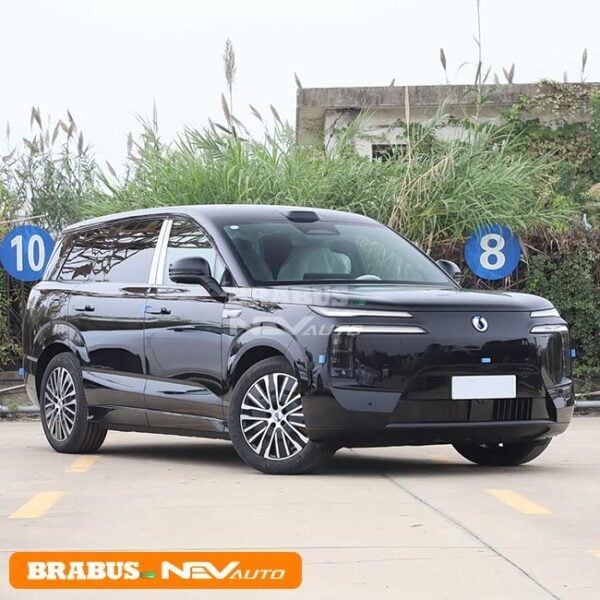 BYD DENZA N8L - Image 3