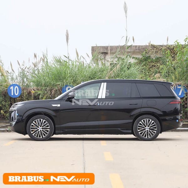 BYD DENZA N8L - Image 4
