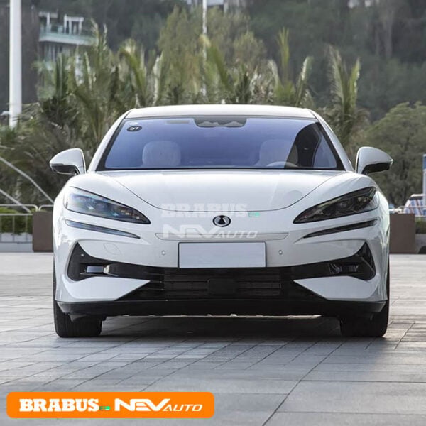 BYD DENZA Z9 - Image 2