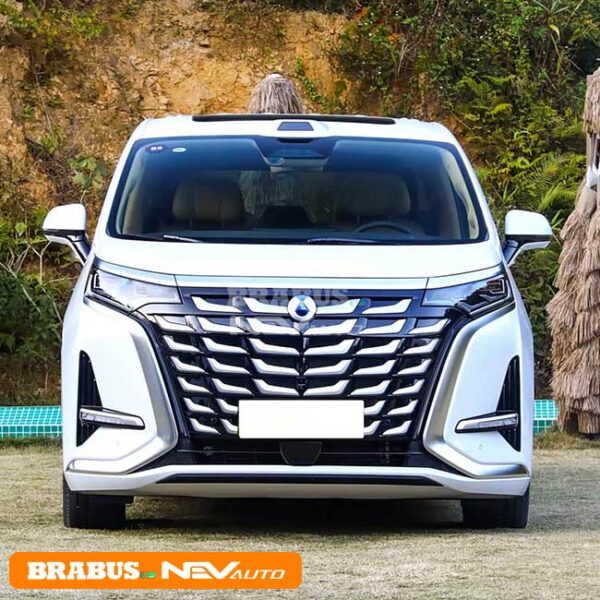 BYD DENZA D9 - Image 2