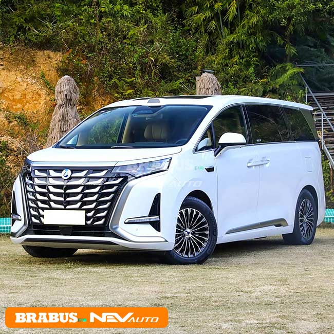 BYD DENZA D9