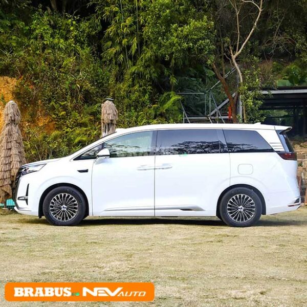 BYD DENZA D9 - Image 4
