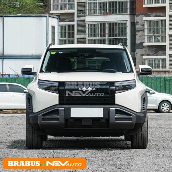 BYD Leopard TAI 3 - Image 2