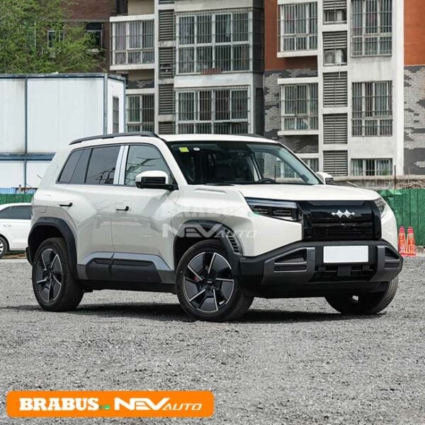 BYD Leopard TAI 3 - Image 3