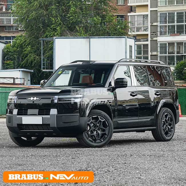 BYD Leopard TAI 7