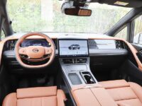Trumpchi-M8-detail_3