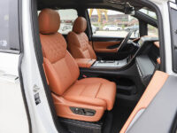 Trumpchi-M8-detail_6