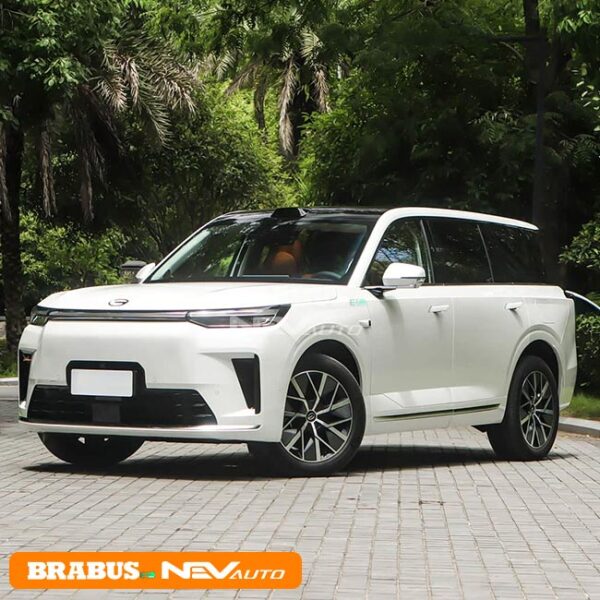 Trumpchi Xiangwang S9